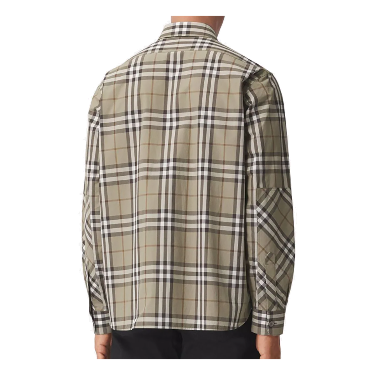 BURBERRY CHECK PRINT COTTON SHIRT IN AVOCADO GREEN