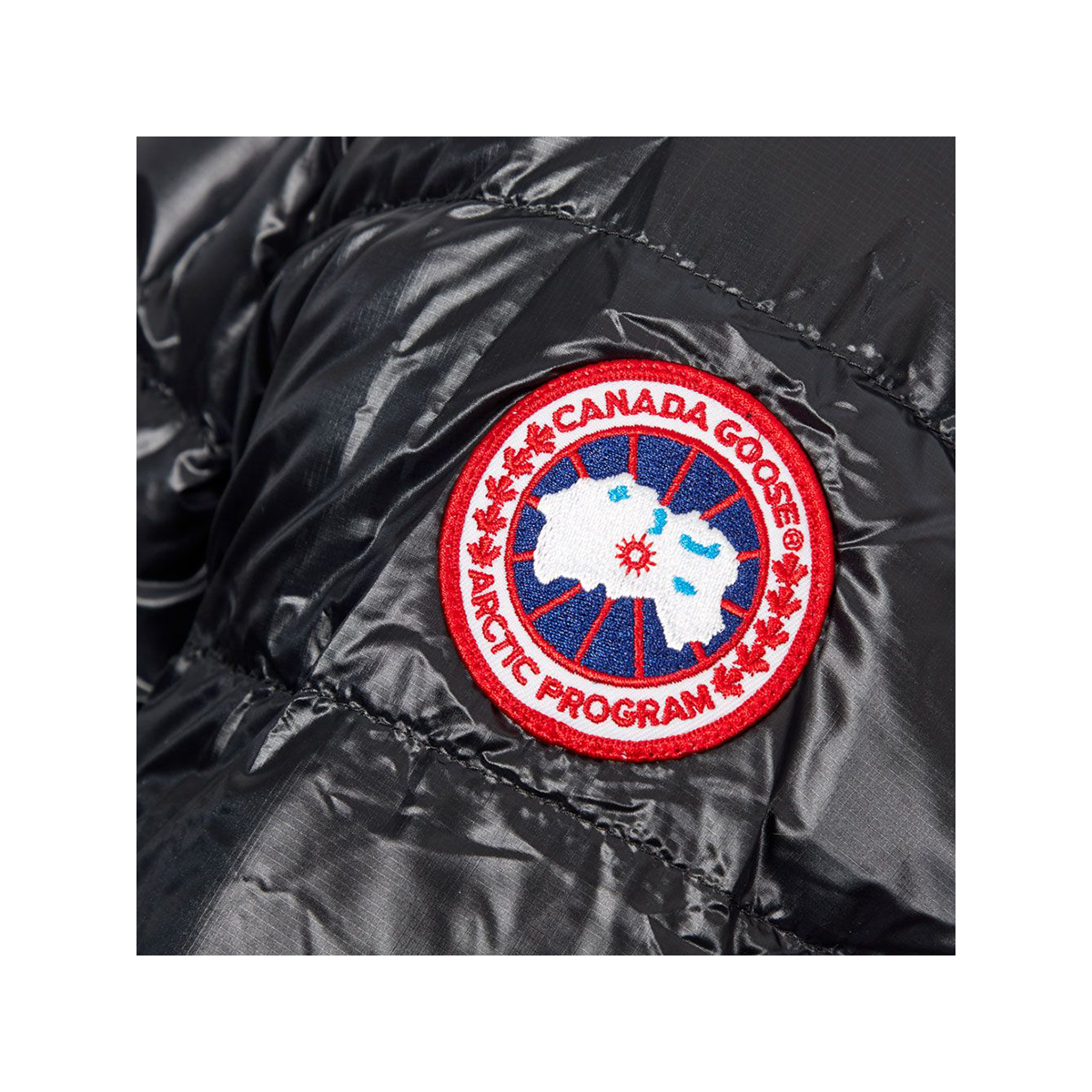 CANADA GOOSE CFROFTON HOODIE JACKET IN BLACK